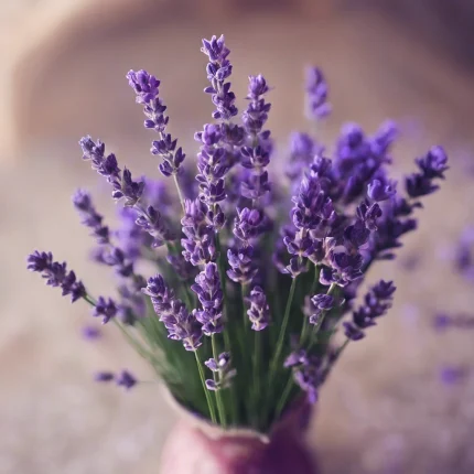 8fd00bf4-f993-4768-a0d9-c0dea037d79b